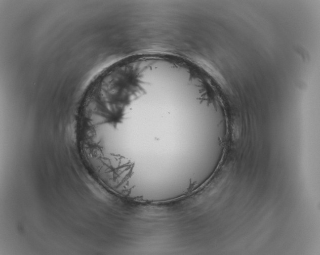 X0000114021356200910161747