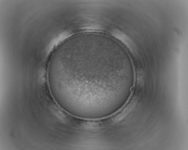 X0000114021357200910161747