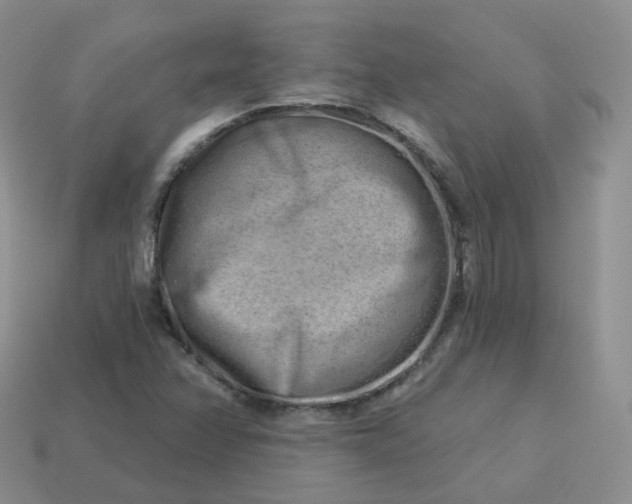 X0000114021358200910161747