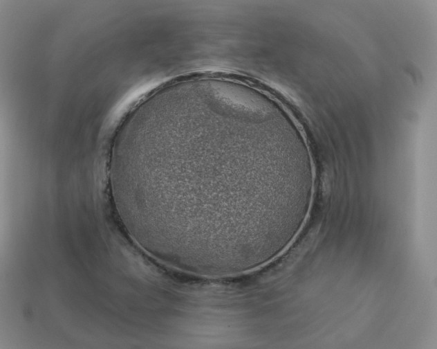 X0000114021359200910161747