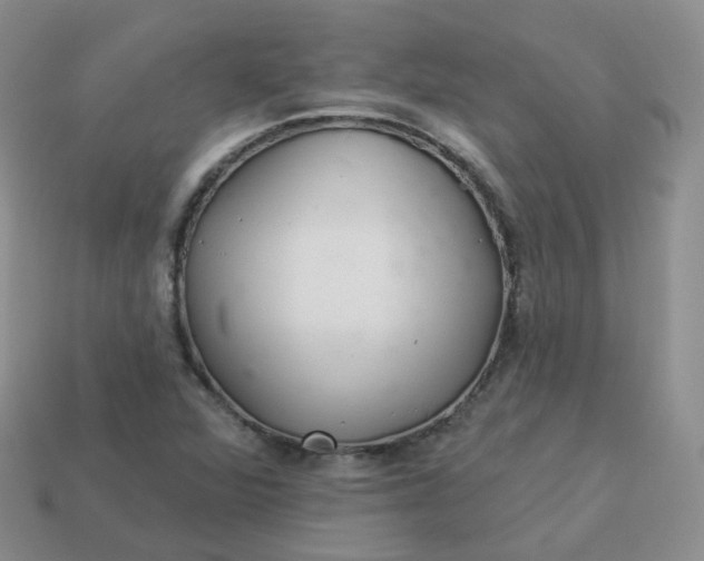 X0000114021360200910161747