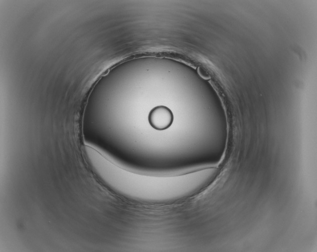 X0000114021361200910161747