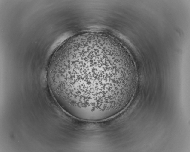 X0000114021362200910161747