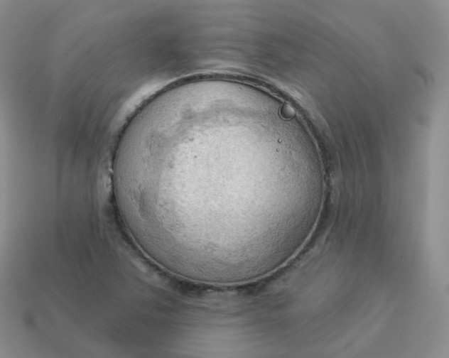 X0000114021363200910161747