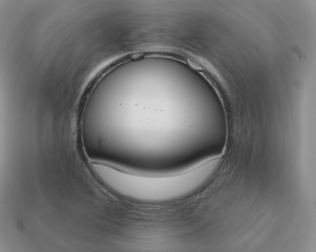 X0000114021364200910161747