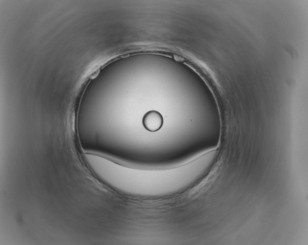 X0000114021365200910161747