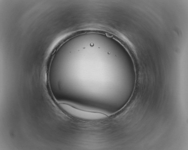 X0000114021368200910161747