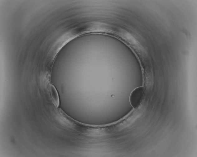 X0000114021369200910161747