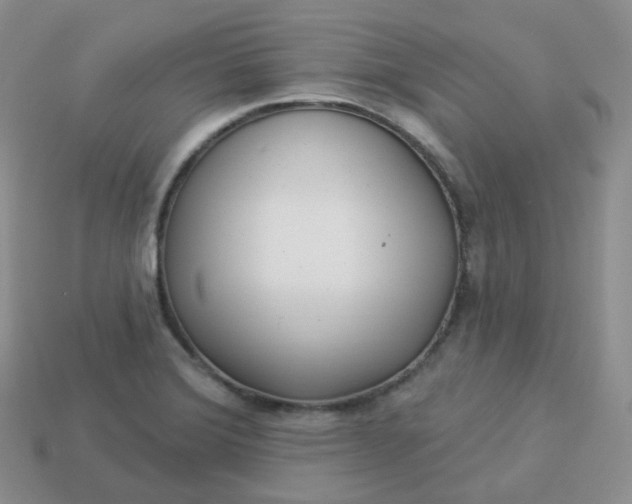 X0000114021372200910161747