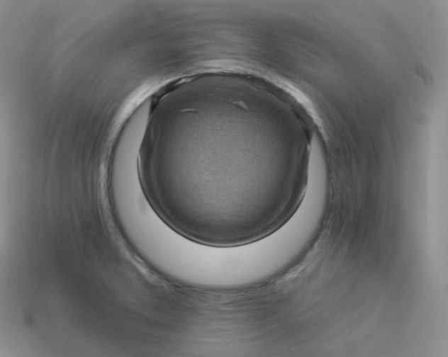 X0000114021373200910161747