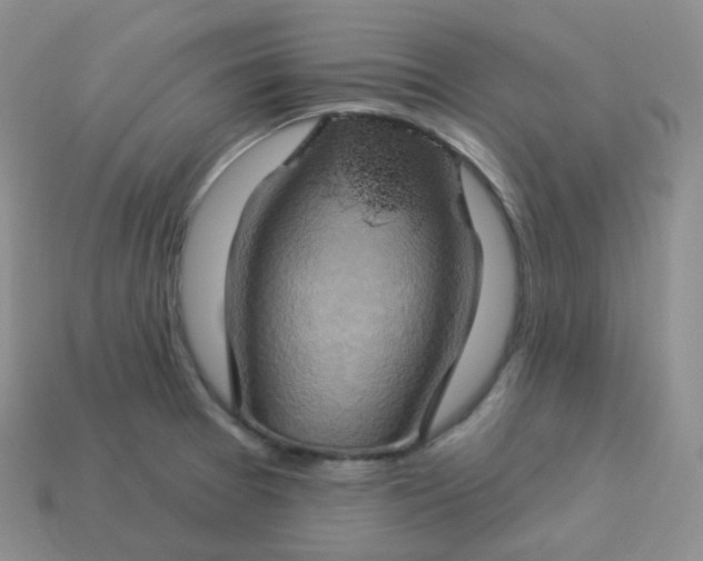 X0000114021377200910161747