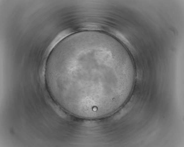 X0000114021378200910161747