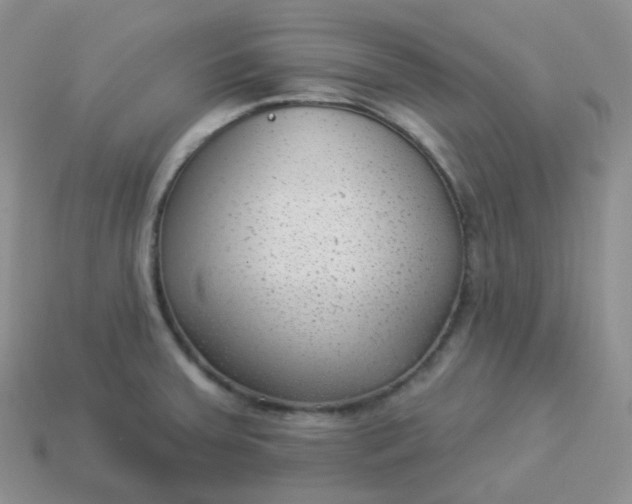 X0000114021379200910161747