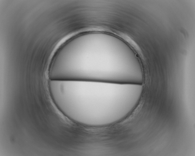 X0000114021380200910161747