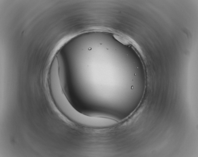 X0000114021381200910161747