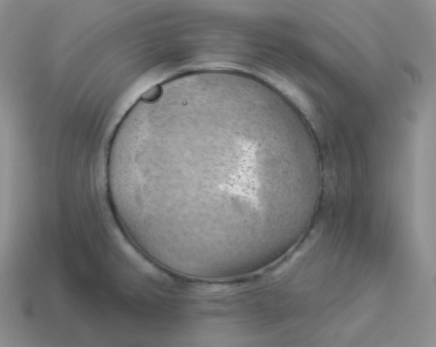 X0000114021382200910161747