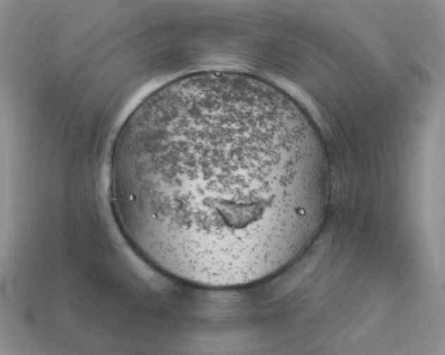 X0000114021383200910161747