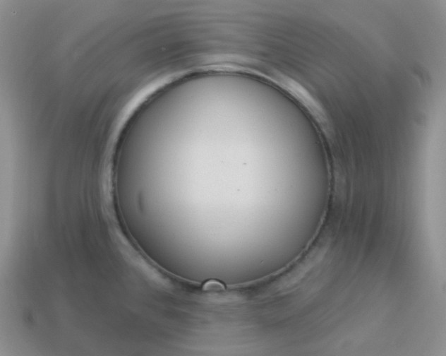 X0000114021384200910161747