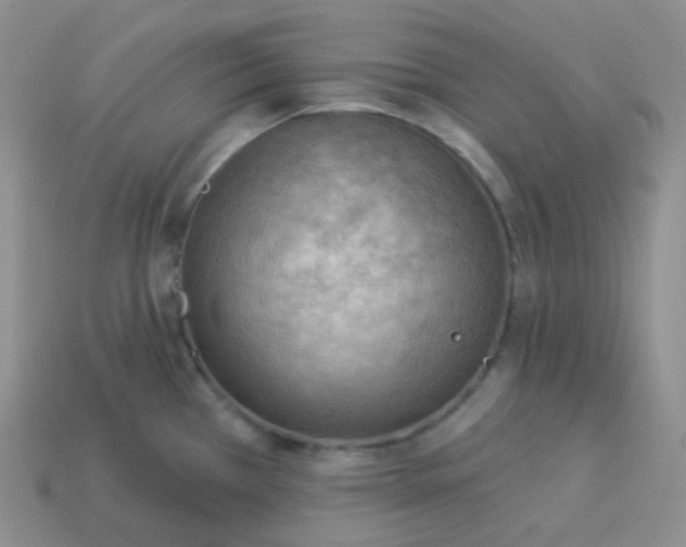 X0000114021385200910161747