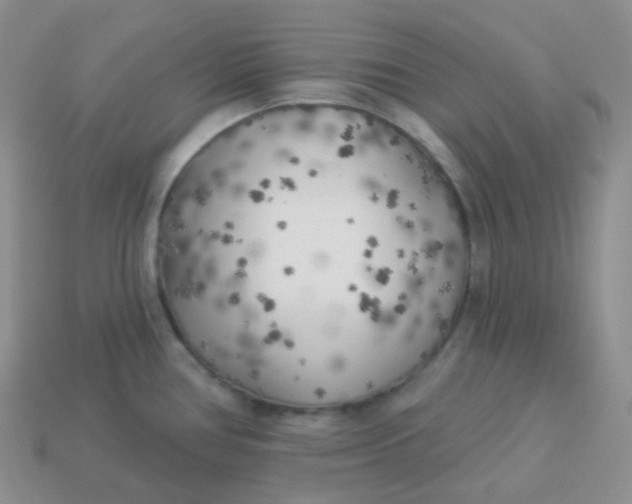 X0000114021386200910161747