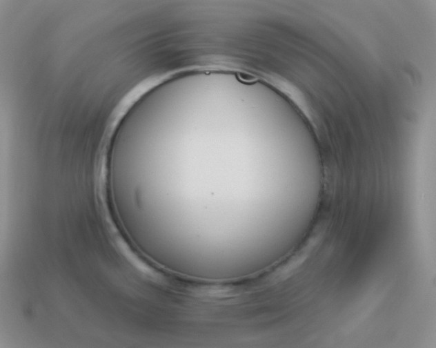 X0000114021387200910161747