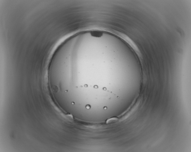 X0000114021388200910161746