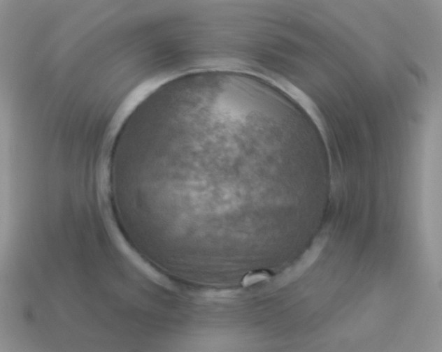 X0000114021389200910161746