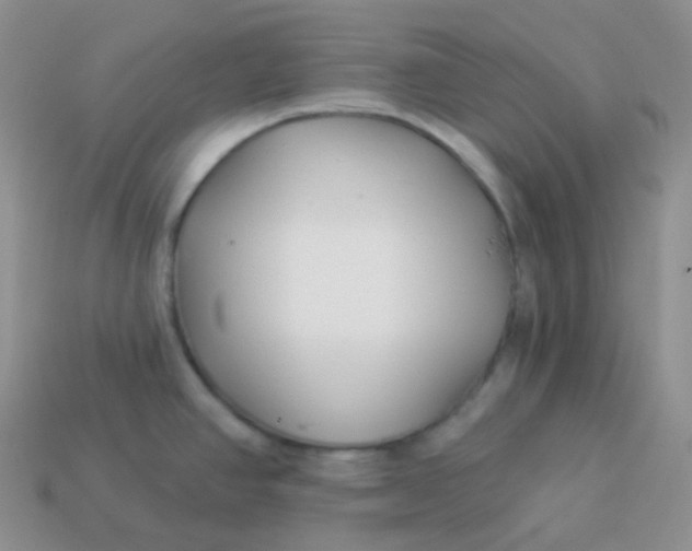 X0000114021390200910161746