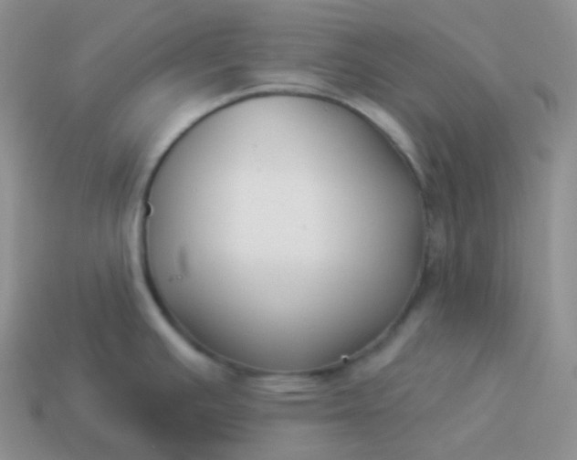 X0000114021391200910161746