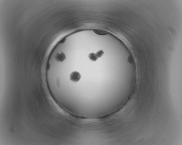 X0000114021392200910161746