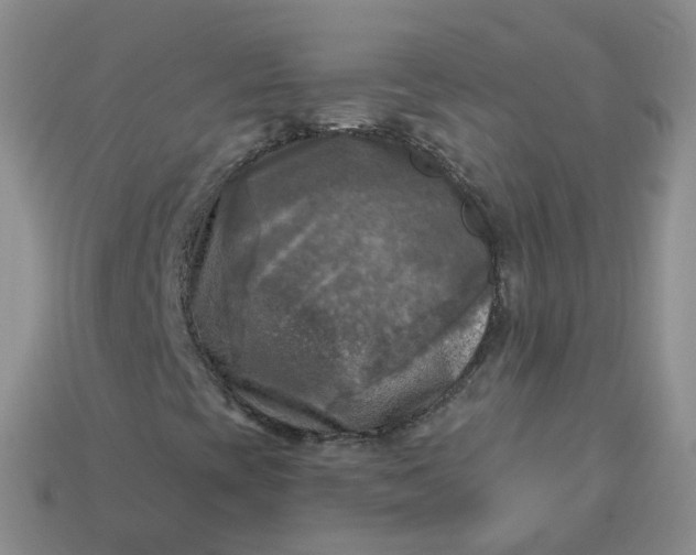 X0000114021393200910161746