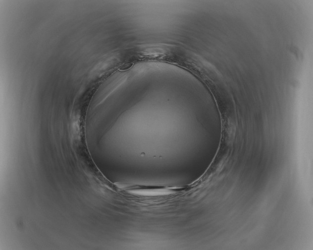 X0000114021394200910161746