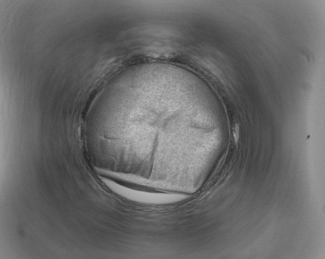 X0000114021396200910161746