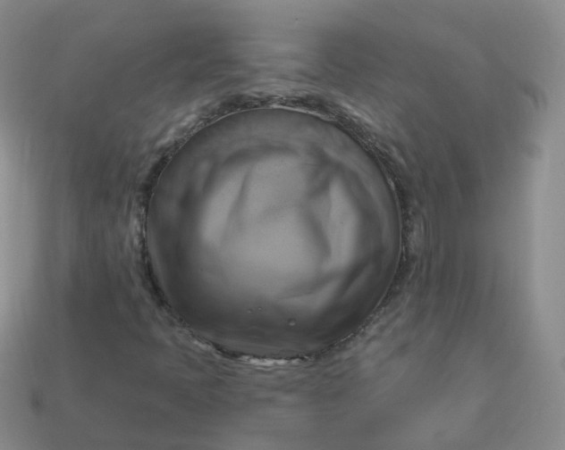 X0000114021397200910161746