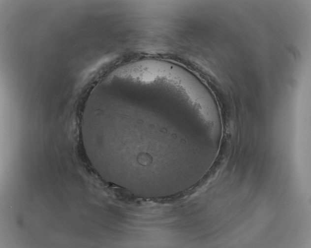 X0000114021398200910161746