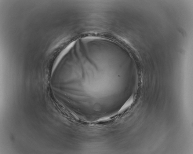 X0000114021399200910161746