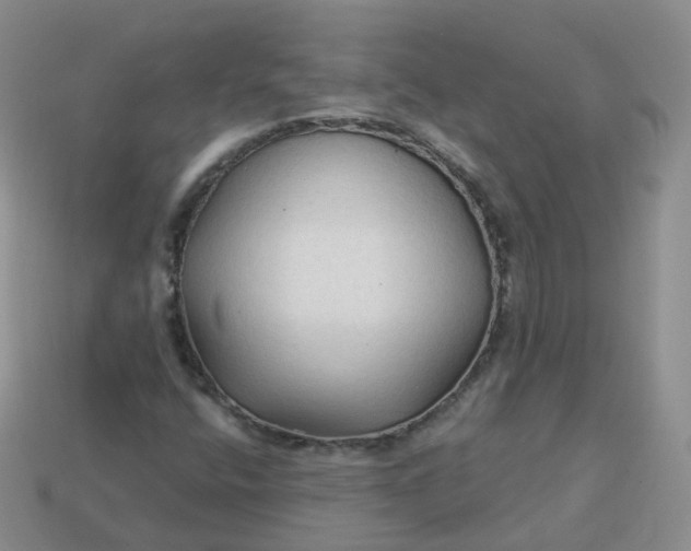 X0000114021400200910161746