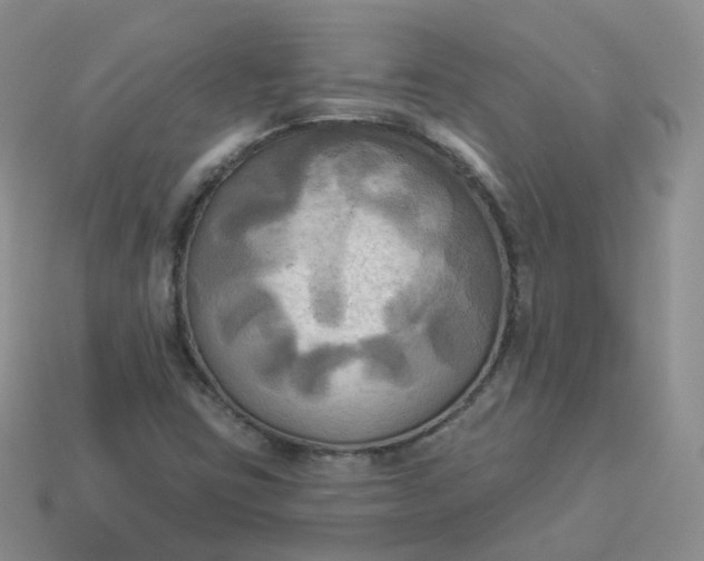 X0000114021403200910161746