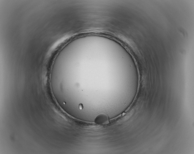 X0000114021406200910161746