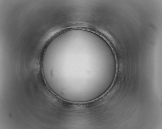 X0000114021407200910161746