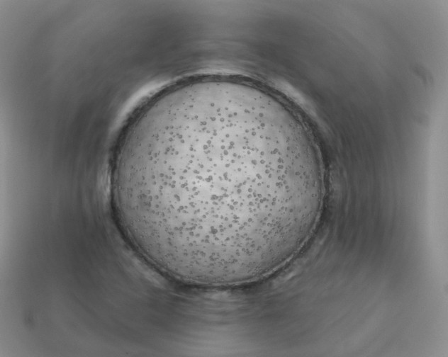 X0000114021408200910161746