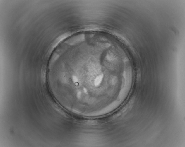 X0000114021409200910161746