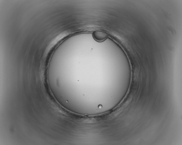 X0000114021410200910161746