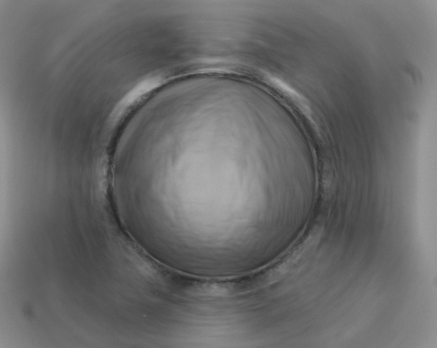 X0000114021411200910161746