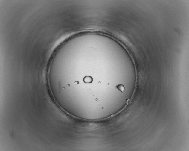 X0000114021412200910161746