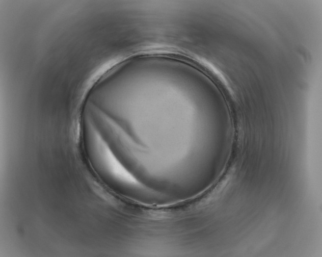 X0000114021413200910161746