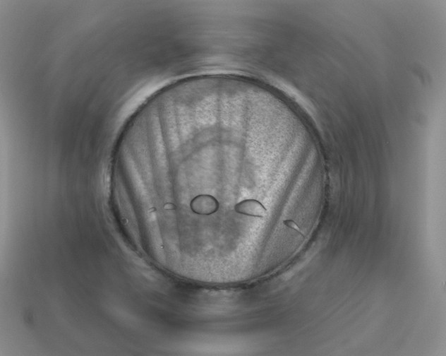 X0000114021415200910161746