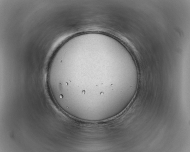 X0000114021416200910161746