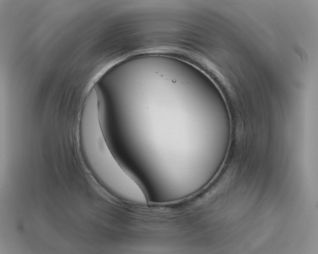 X0000114021417200910161746