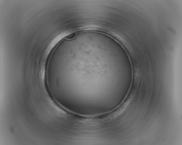 X0000114021418200910161746